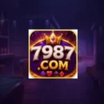 7987