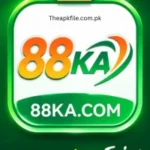 88ka